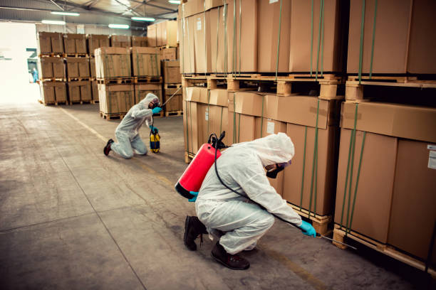 Best Bed Bug Extermination  in Delevan, NY