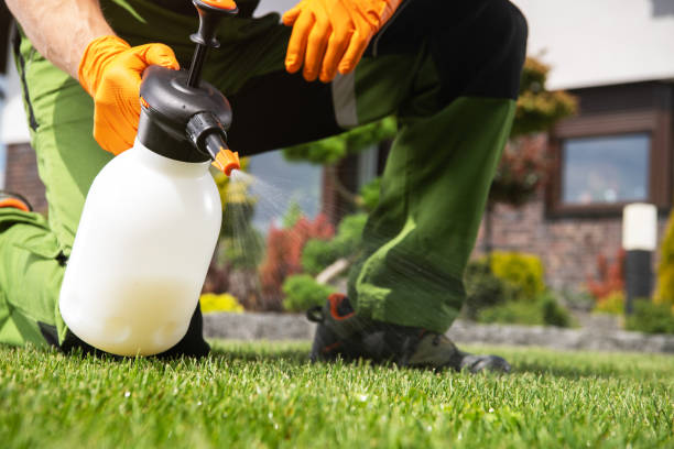 Best Mosquito Control Services  in Delevan, NY