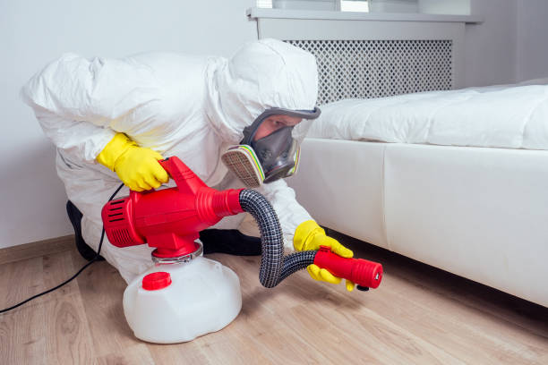 Best Pest Prevention Services  in Delevan, NY