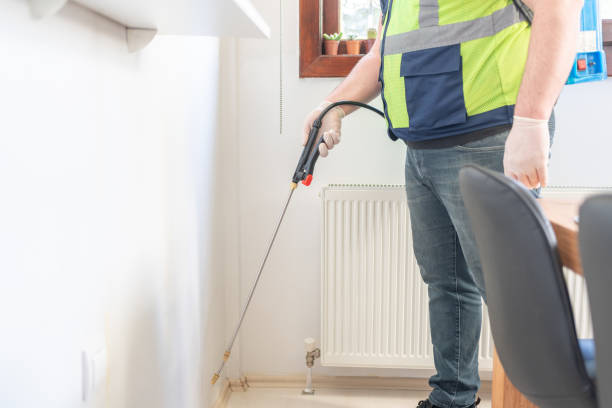 Trusted Delevan, NY Pest Control Experts