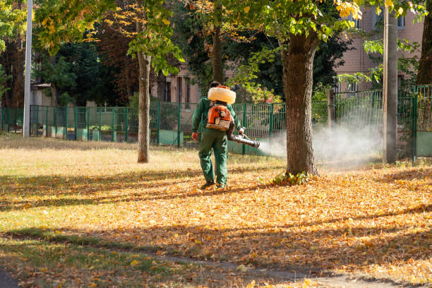 Best Rat Extermination Near Me  in Delevan, NY