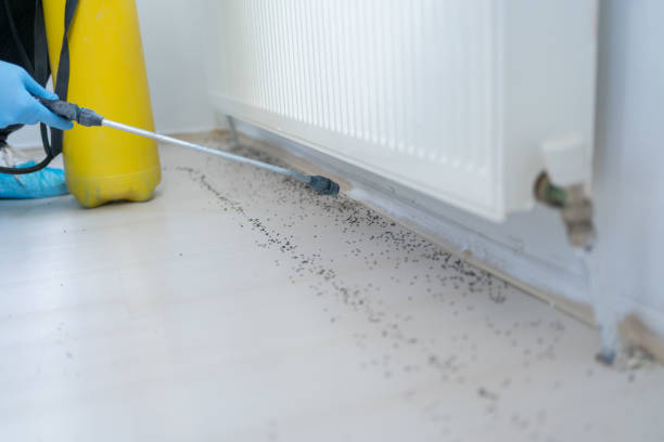 Best Best Pest Control Companies  in Delevan, NY